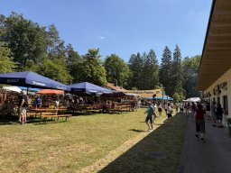 72. Waldfest im Honiggrund 24. - 25.05.2026
