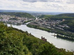 Fahrt in den Rheingau 13.09.2025