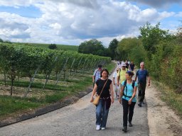 julitta_20260912_144121