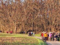 wolfgang_20260118_155457